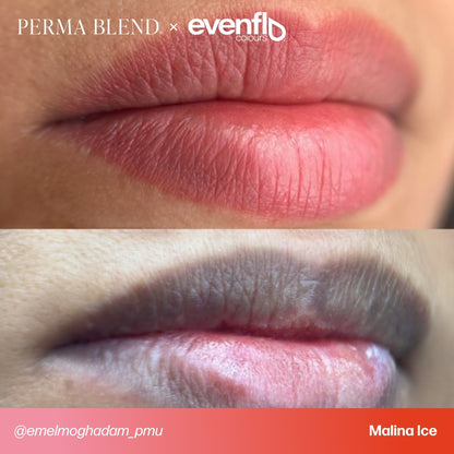Evenflo x Perma Blend - MALINA ICE