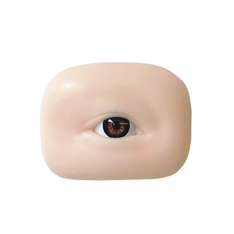 5D Soft Silicone Realistic Eyebrow & Eyeliner PMU Board Practice Skin - HYVE Beauty