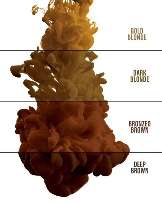 Evenflo x Perma Blend - Blonde 2 Brunette SET - HYVE Beauty