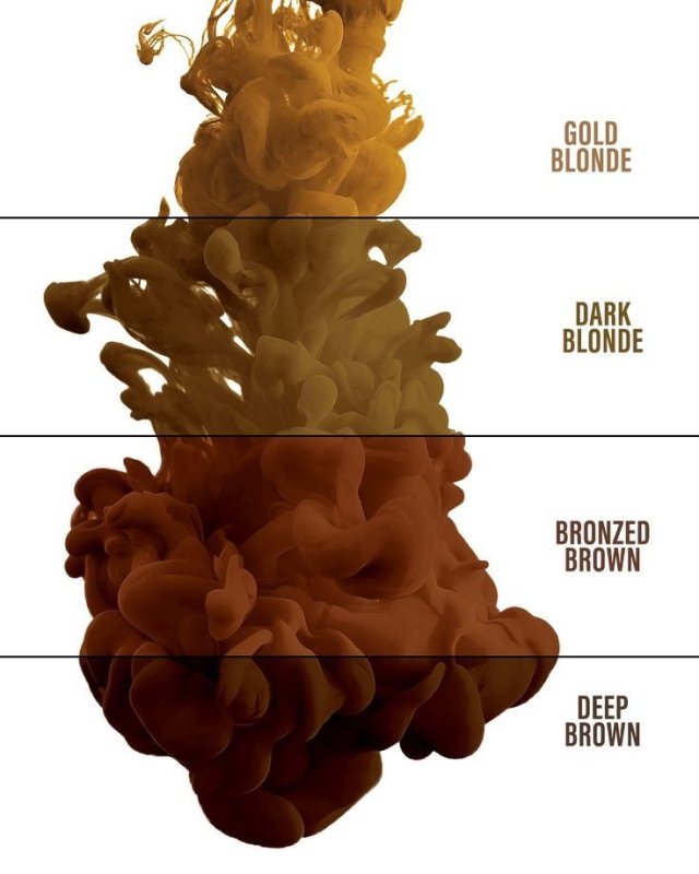 Evenflo x Perma Blend - BRONZED BROWN - HYVE Beauty