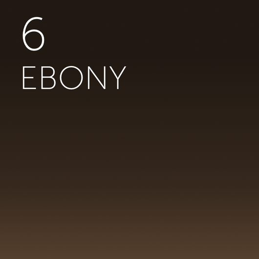 Perma Blend Pigment - Tina Davies Collection - Ebony - HYVE Beauty